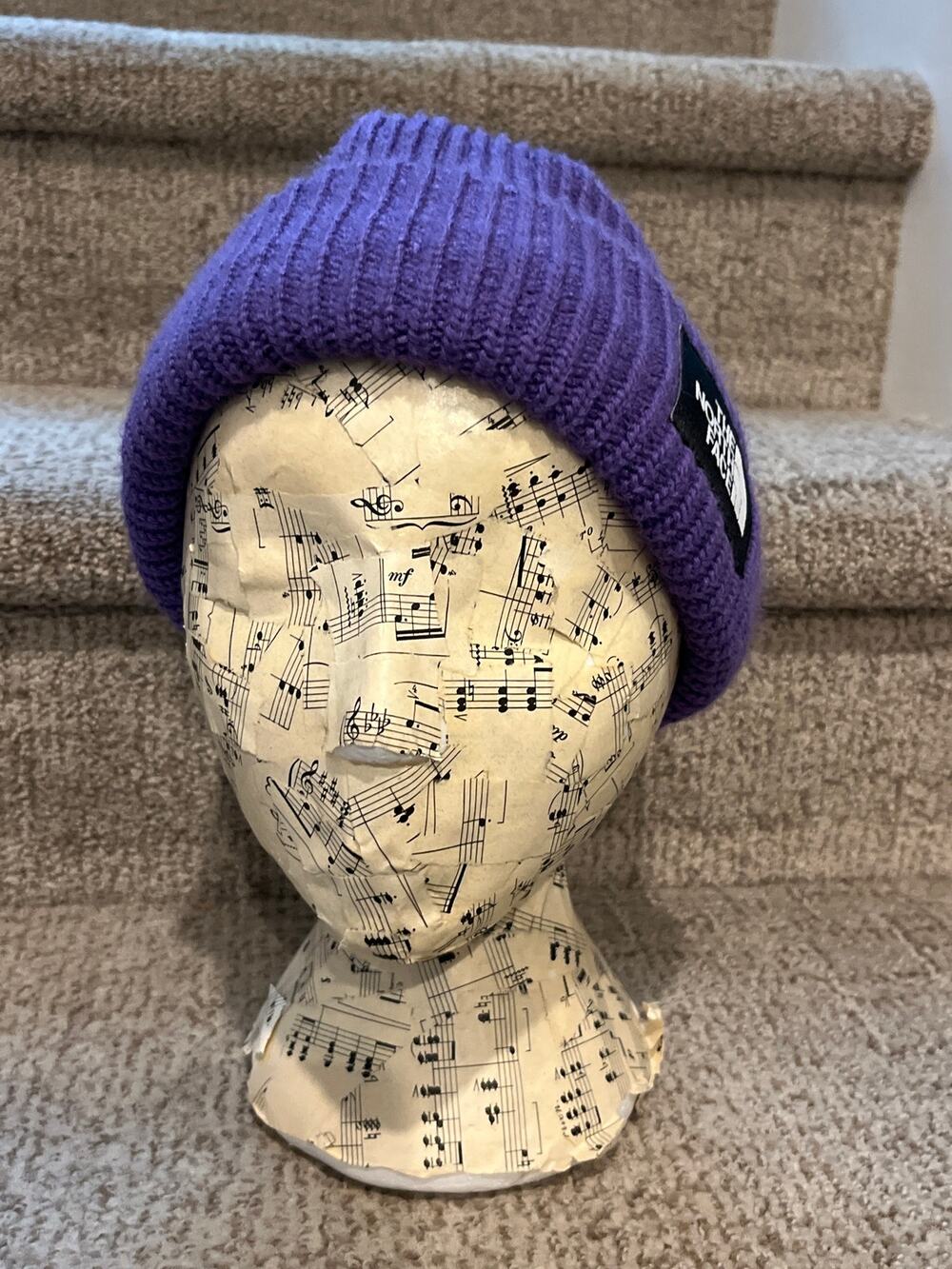 North Face knit hat - one size